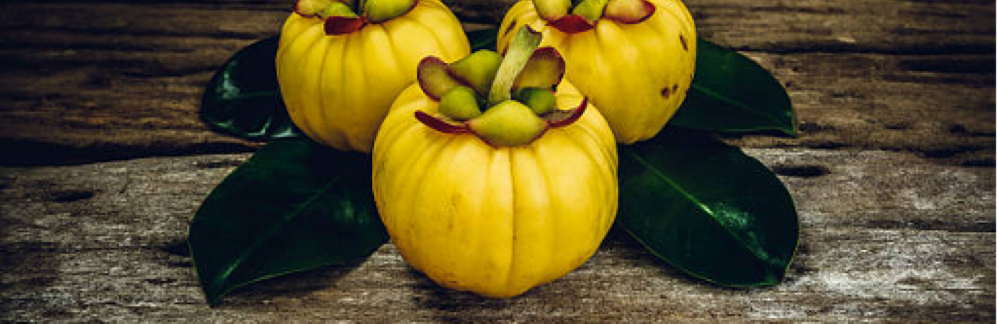 Garcinia Cambogia