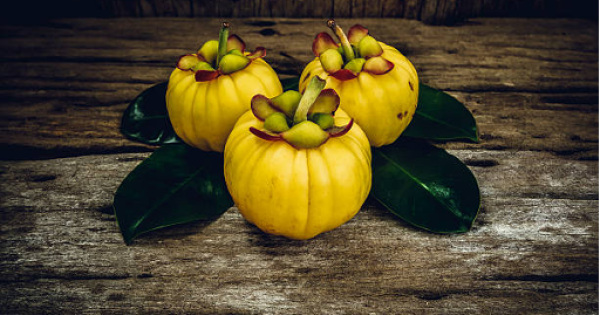 Garcinia Cambogia
